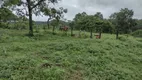 Foto 8 de Lote/Terreno à venda, 20000m² em Zona Rural, Fortuna de Minas