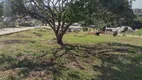 Foto 3 de Lote/Terreno à venda, 1000m² em Dona Catarina, Mairinque