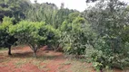 Foto 5 de Fazenda/Sítio à venda, 30000m² em São Cristovão, Passo Fundo