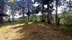 Foto 25 de Fazenda/Sítio à venda, 2662000m² em Centro, Delfim Moreira