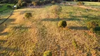 Foto 3 de Fazenda/Sítio à venda em Setor Central, São Luís de Montes Belos