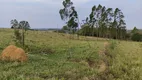 Foto 8 de Fazenda/Sítio com 2 Quartos à venda, 50m² em Zona Rural, São Miguel Arcanjo
