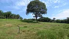 Foto 6 de Fazenda/Sítio com 3 Quartos à venda, 100000m² em Centro, Caldas Novas