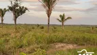 Foto 2 de Fazenda/Sítio à venda em Centro, Goianésia do Pará