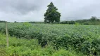 Foto 23 de Fazenda/Sítio com 4 Quartos à venda, 120000m² em Area Rural do Paranoa, Brasília