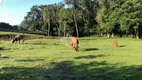 Foto 26 de Fazenda/Sítio com 3 Quartos à venda, 10000m² em Cachoeira, Portão