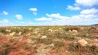 Foto 4 de Fazenda/Sítio com 1 Quarto à venda, 2550000m² em Zona Rural, Perdizes