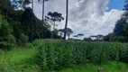 Foto 7 de Lote/Terreno à venda em Contenda, São José dos Pinhais