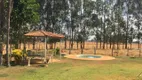 Foto 10 de Fazenda/Sítio com 4 Quartos à venda, 100478m² em Setor Central, Terezópolis de Goiás