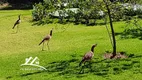 Foto 29 de Lote/Terreno à venda, 1000m² em Casa Branca, Brumadinho