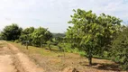 Foto 31 de Fazenda/Sítio com 3 Quartos à venda, 200m² em Pinheirinho, Itu