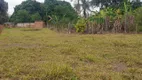 Foto 10 de Fazenda/Sítio à venda, 6000m² em Zona Rural, Nazário