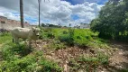 Foto 8 de Lote/Terreno para alugar, 9000m² em Bairro Novo, Carpina