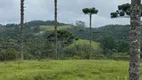 Foto 28 de Fazenda/Sítio com 2 Quartos à venda, 300000m² em Queimada Grande, Rancho Queimado