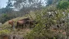 Foto 41 de Fazenda/Sítio com 3 Quartos à venda, 250m² em Mombaça, Saquarema