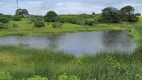 Foto 10 de Fazenda/Sítio com 3 Quartos à venda, 30000m² em Monte Alegre, Monte Alegre