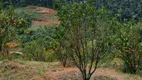 Foto 2 de Fazenda/Sítio à venda, 56000m² em Soido, Domingos Martins