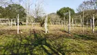 Foto 36 de Fazenda/Sítio com 3 Quartos à venda, 43076m² em Zona Rural, Campo Magro