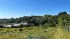 Foto 14 de Lote/Terreno à venda, 20567m² em Zona Rural, Farroupilha