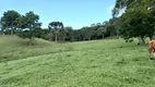 Foto 15 de Fazenda/Sítio com 3 Quartos à venda, 250000m² em Centro, Alfredo Wagner