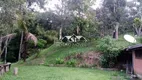 Foto 4 de Fazenda/Sítio com 3 Quartos à venda, 600000m² em Centro, São José do Vale do Rio Preto