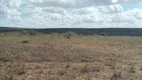 Foto 3 de Fazenda/Sítio à venda, 497m² em Ponta Negra, Natal