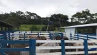 Foto 52 de Fazenda/Sítio com 9 Quartos à venda, 800m² em Zona Rural, Gameleira de Goiás