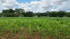 Foto 5 de Fazenda/Sítio com 3 Quartos à venda, 100000m² em Corrego Rico, Planaltina