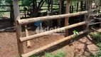 Foto 3 de Fazenda/Sítio com 3 Quartos à venda, 1m² em Area Rural de Uberlandia, Uberlândia