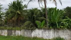 Foto 27 de Fazenda/Sítio com 5 Quartos à venda, 30000m² em Salema, Rio Tinto