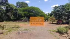 Foto 6 de Fazenda/Sítio com 2 Quartos à venda, 5100m² em Parque da Figueira, Paulínia