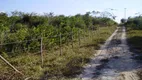 Foto 4 de Lote/Terreno à venda, 1000m² em VALE DO PIUM, Nísia Floresta