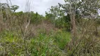 Foto 6 de Fazenda/Sítio à venda, 20000m² em Zona Rural, Corumbá de Goiás