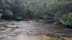 Foto 31 de Fazenda/Sítio com 4 Quartos à venda, 48000m² em Zona Rural, Rio Negrinho