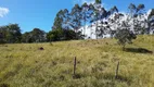 Foto 104 de Fazenda/Sítio com 4 Quartos à venda, 900000m² em Zona Rural, Natividade da Serra