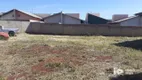 Foto 10 de Lote/Terreno à venda, 1200m² em Jardim Cidade Nova, Rolândia