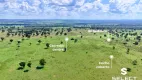 Foto 6 de Fazenda/Sítio à venda, 8670000m² em Quebra Coco, Sidrolândia