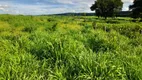 Foto 36 de Fazenda/Sítio com 3 Quartos à venda, 5500000m² em Centro, São João da Ponte