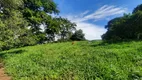 Foto 4 de Fazenda/Sítio com 4 Quartos à venda, 150m² em Setor Central, Hidrolândia