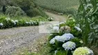 Foto 47 de Fazenda/Sítio com 1 Quarto à venda, 25000m² em Bateias de Baixo, Campo Alegre