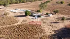 Foto 24 de Fazenda/Sítio à venda, 856m² em Zona Rural, Figueirópolis