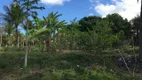 Foto 16 de Fazenda/Sítio com 3 Quartos à venda, 1071m² em Comunidade Urbana de Andana, Guarapari