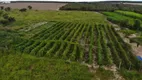 Foto 8 de Fazenda/Sítio com 2 Quartos à venda, 150m² em Zona Rural, Luís Eduardo Magalhães