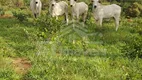 Foto 8 de Fazenda/Sítio à venda, 140000m² em , Alto Paraíso de Goiás