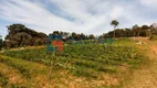 Foto 36 de Fazenda/Sítio com 4 Quartos à venda, 880m² em Roseira, Jundiaí