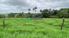 Foto 20 de Fazenda/Sítio com 3 Quartos à venda, 308m² em Zona Rural, Paraopeba