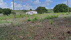 Foto 5 de Fazenda/Sítio à venda, 15000m² em Golandim, São Gonçalo do Amarante