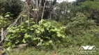 Foto 2 de Lote/Terreno à venda, 5000m² em Praias Paulistanas, São Paulo