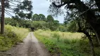 Foto 10 de Fazenda/Sítio à venda, 56000m² em Centro, Campo do Tenente