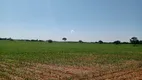 Foto 7 de Fazenda/Sítio à venda, 520000m² em Zona Rural, Bom Despacho